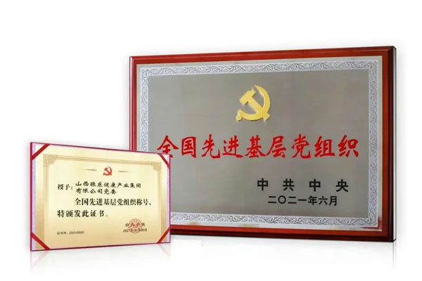 尊时凯龙,全国先进基层党组织