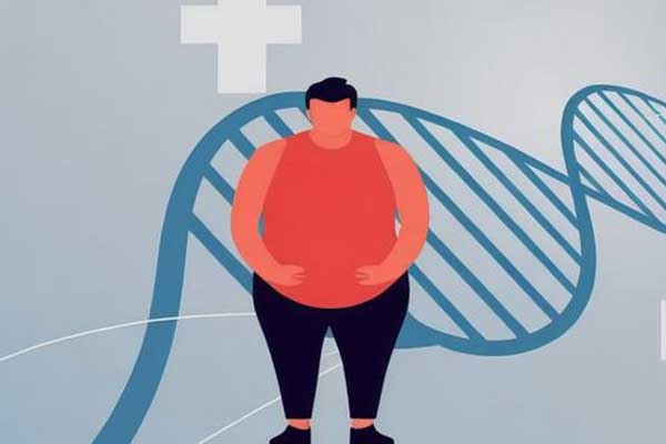 肥胖与癌症,BMI,中心肠肥胖,科学减沉,防癌